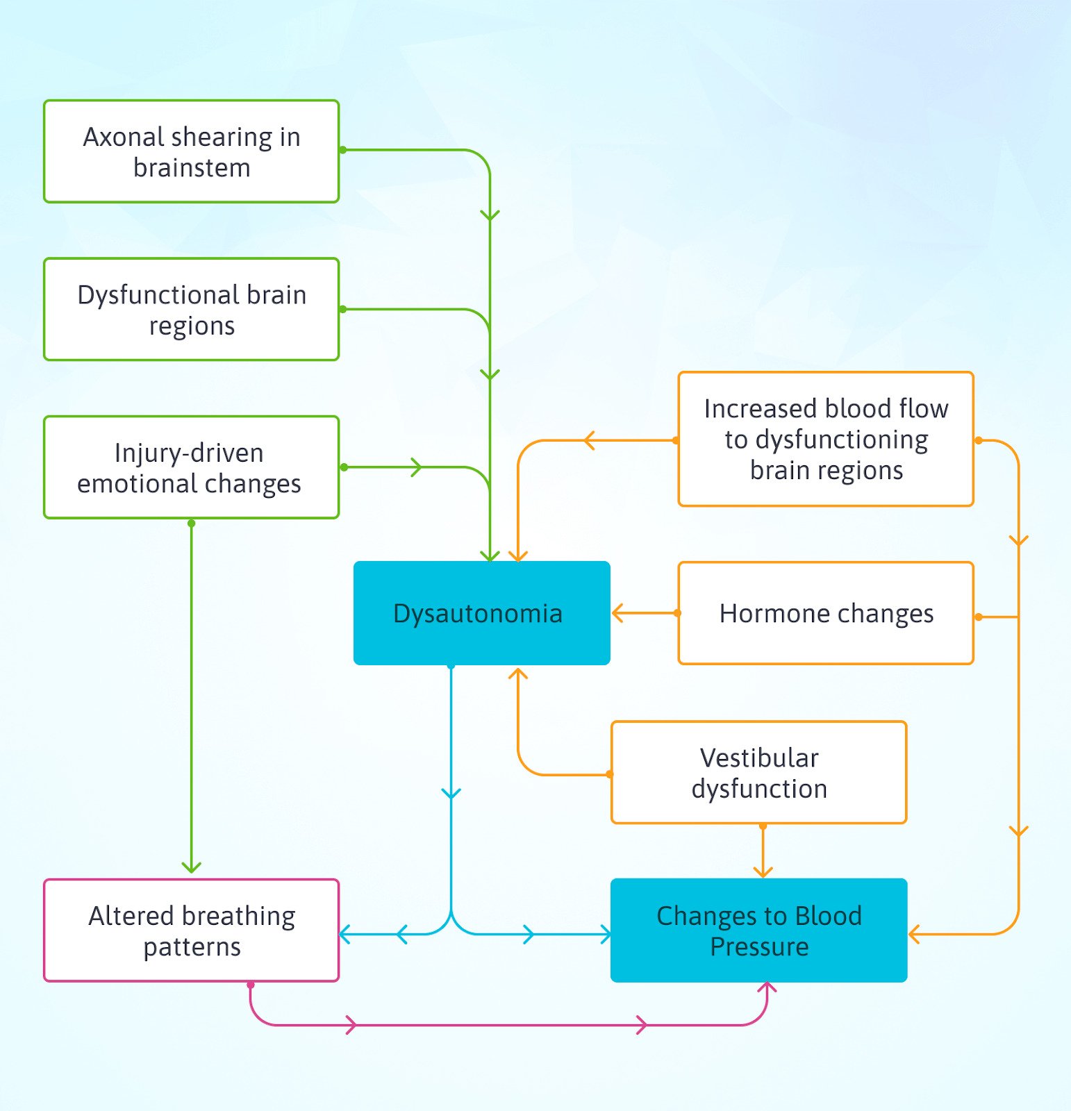 Why Concussion Can Lead to Blood Pressure Change & POTS Cognitive FX